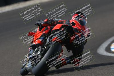 media/Oct-12-2025-CRA (Sun) [[e621380112]]/Races/Race 8/